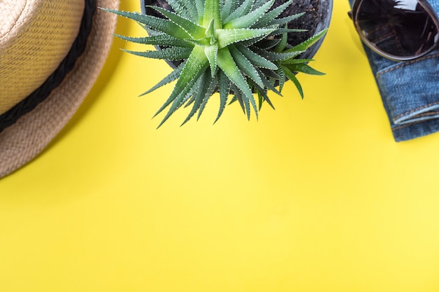 Het concept van de zomervakantie. De cactuszonnebril van de hoed op gele achtergrond