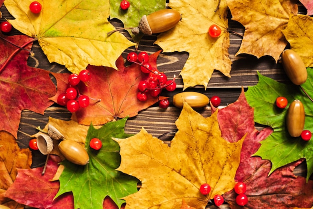 Het concept van herfstachtergronden Droge esdoorn- en eikelbladeren op een houten achtergrond