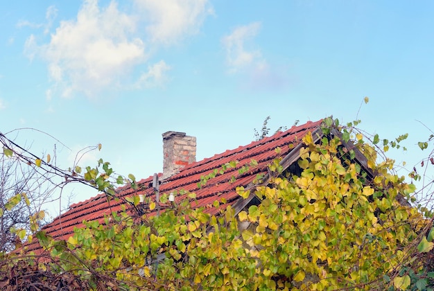 het dak van een huis met een rood pannendak en een blauwe lucht met wolken