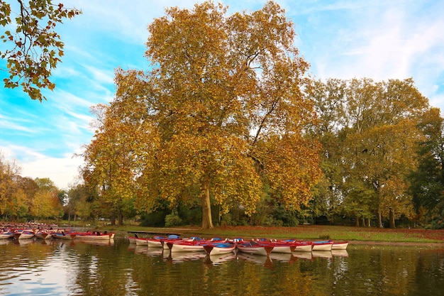 Het Daumesnil-meer in de herfst Vincennes forestParijs Frankrijk