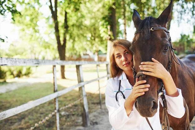 Het dier omarmen. Vrouwelijke dierenarts die overdag paard buiten op de boerderij onderzoekt.