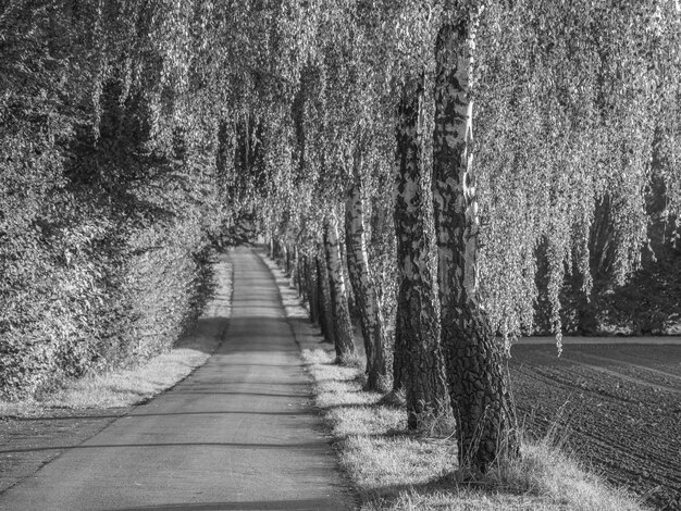 het dorp Weseke in Westfalen