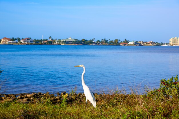 Het eiland Florida van de Florida Marco Island van Napels