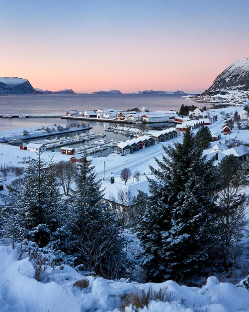 Foto het eiland gody in de winter sunnmre mre og romsdal noorwegen