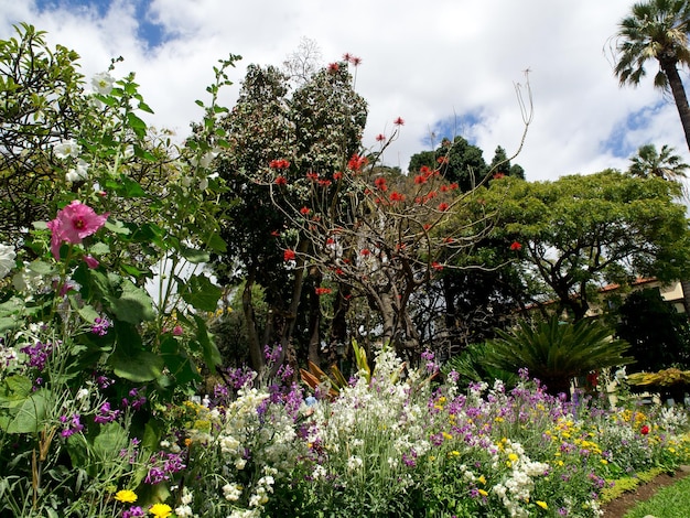 Het eiland Madeira