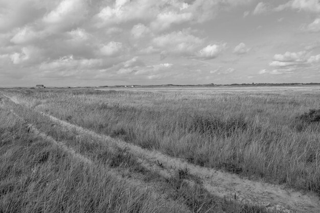 Foto het eiland spiekeroog