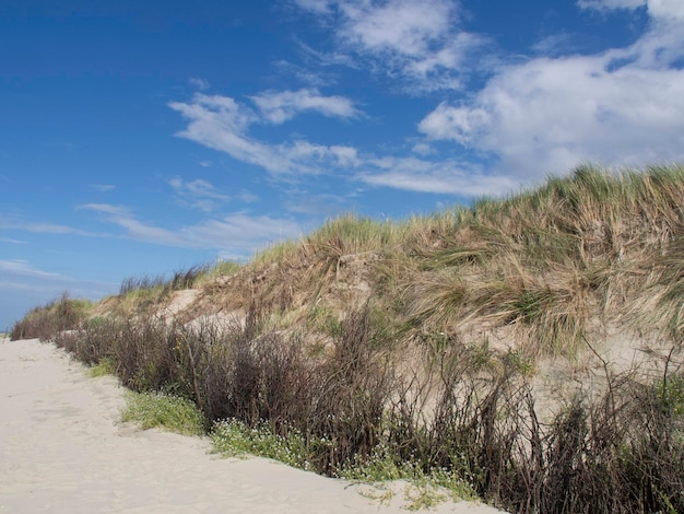 Foto het eiland spiekeroog