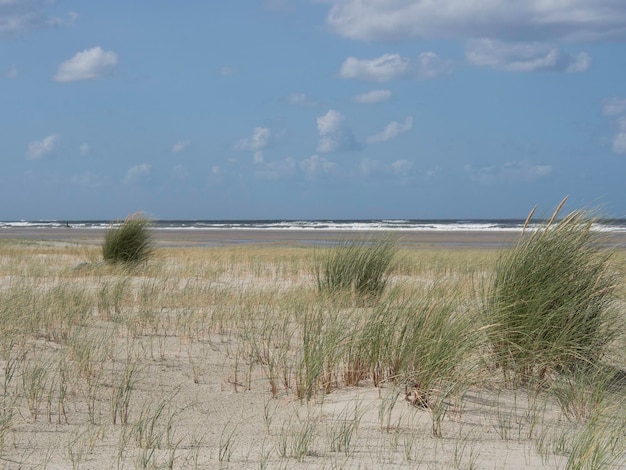 Het eiland Spiekeroog