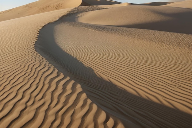 Het eindeloze zand van de duin