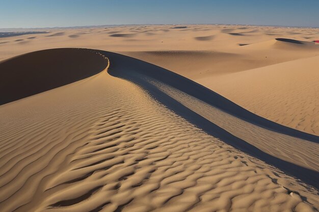 Het eindeloze zand van de duin