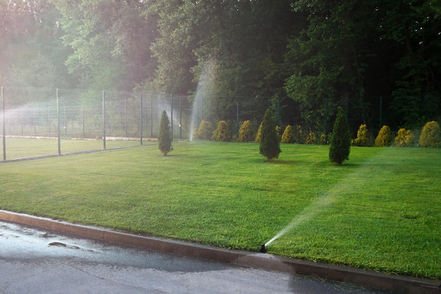 Foto het gazon water gevenirrigatiesysteem sproeien van water over groen gras