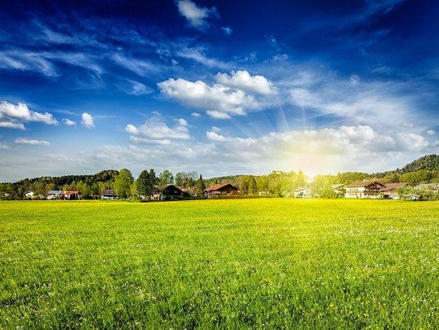 Het gebied van de plattelandsweide met zon en blauwe hemel