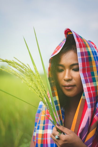 Het gelukkige Aziatische meisje geniet van in groen padieveld, platteland van Thailand bij zonsondergang