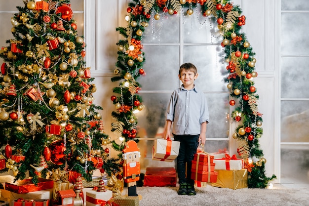 Het gelukkige het glimlachen jongen stellen voor camera in studio met verfraaide Kerstmisboom