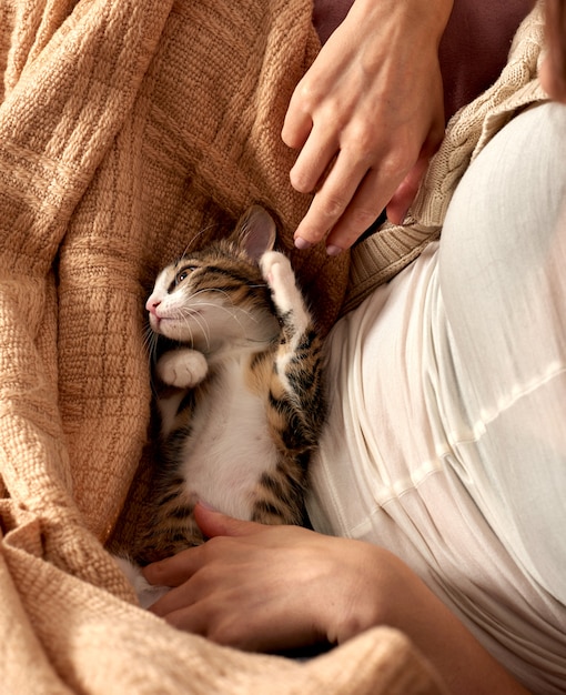 Het gelukkige vrouw spelen met de kat in de slaapkamer