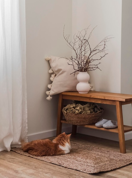 Het gezellige interieur van de woonkamer is een bankje met een decoratief kussen een vaas met takken een rode kat op een jute tapijt een gezellig huisconcept
