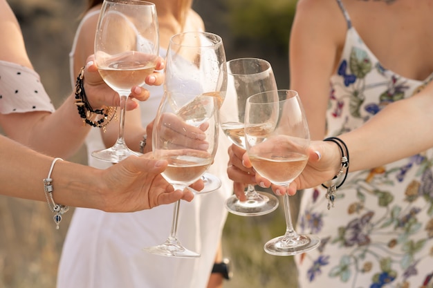 Het gezelschap van vriendinnen geniet van een zomerse picknick en heft de glazen op met wijn