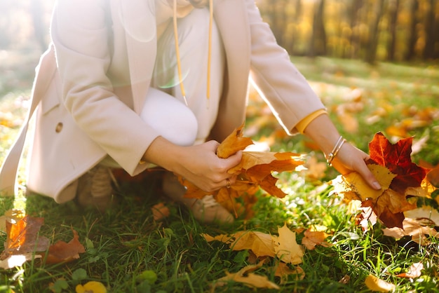 Het glimlachende meisje verzamelt gele bladeren in de herfst Jonge vrouw die van de herfstweer geniet