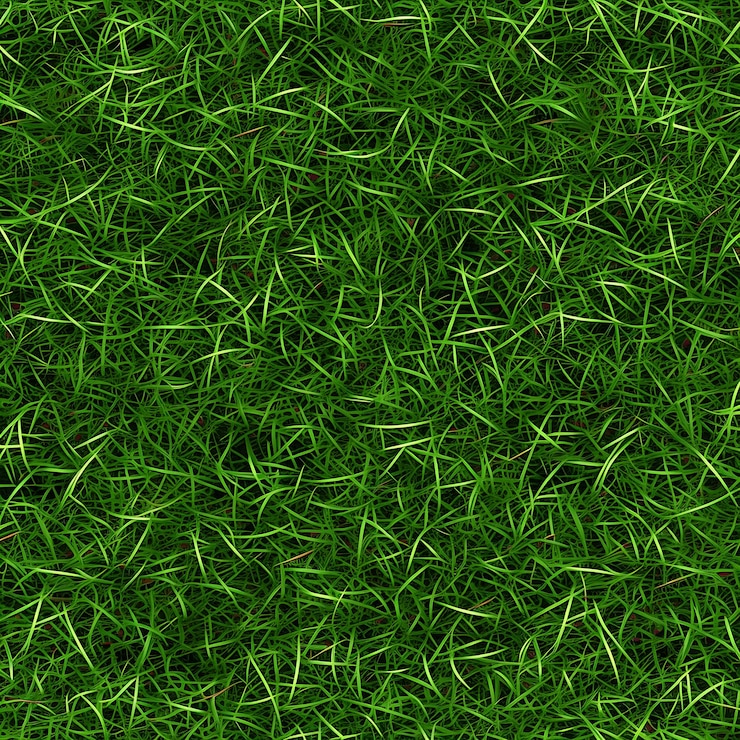 Foto het gras is groen en het gras is groen van kleur.