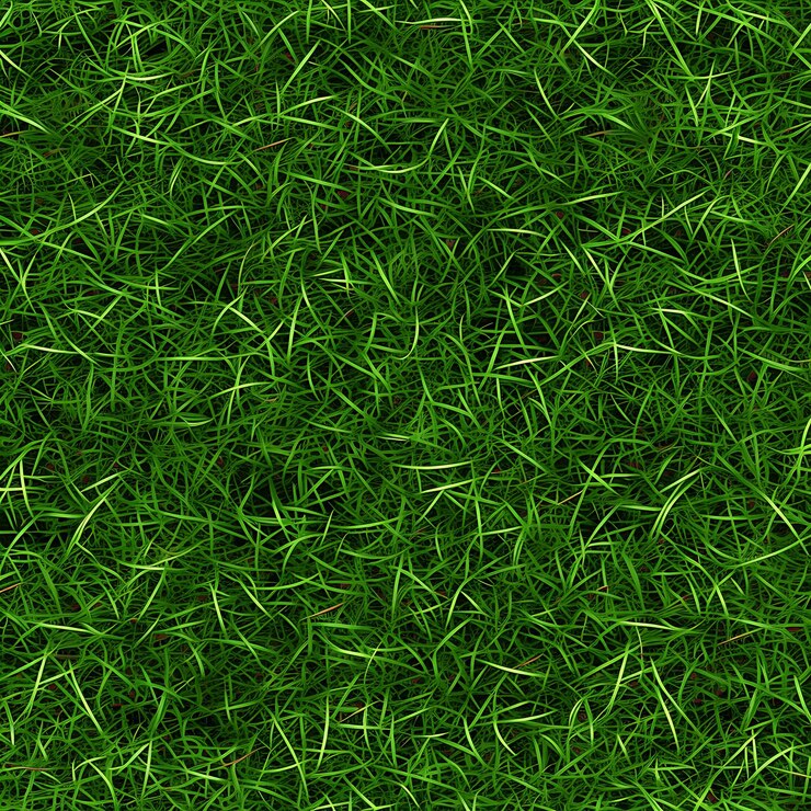 Foto het gras is groen en het gras is groen van kleur.