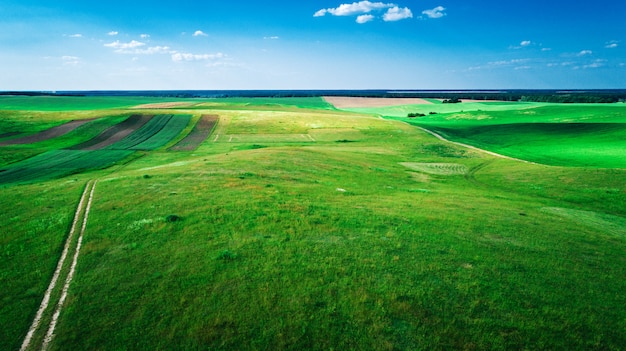 Het groene veld is bij zonsondergang geschoten met de drone