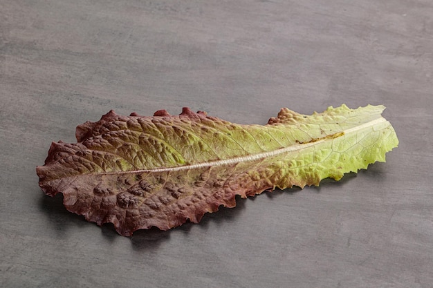 Foto het groene verse geïsoleerde blad van de slasalade