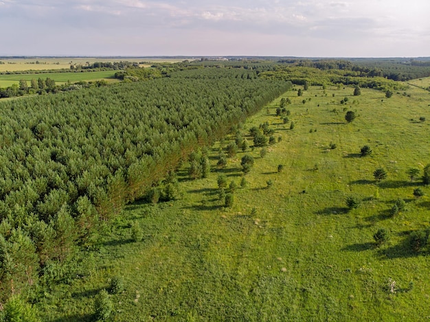 Het grondgebied van het zomerdorp. Een foto in vogelvlucht. Ruime en uitgestrekte landelijke groene velden met veel bomen en struiken. Natuurlijke boerderij landschap. Agronomisch uitzicht. De schoonheid van de aarde.