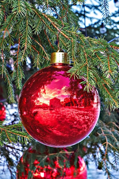 Het grote rode Kerstmisbal hangen op de boomtak van Kerstmis