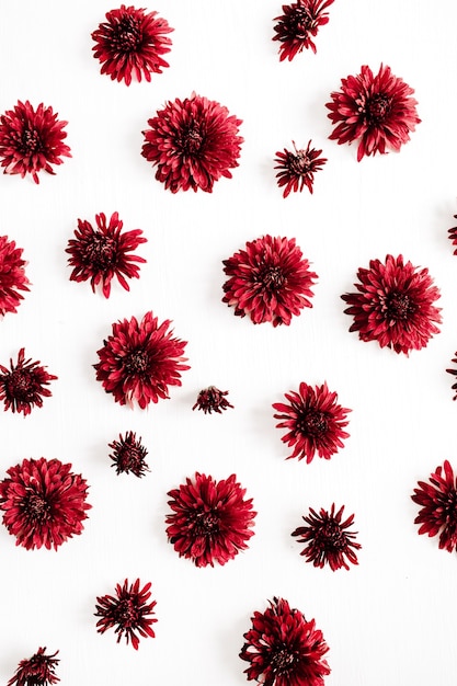 Het heldere rode patroon van bloemknoppen. Platliggend, bovenaanzicht