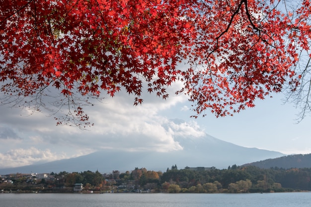 Het herfstseizoen van Japan met Fuji moutain bij Kawaguchiko-meer