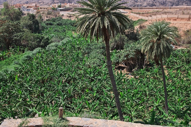 Het historische dorp Al Ain in Saoedi-Arabië