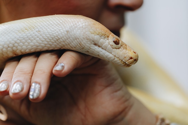 Het hoofd van een witte python in de handen van een meisje