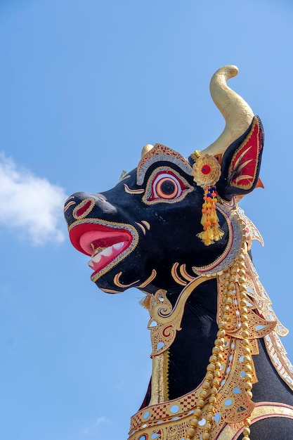 Het hoofd van een zwarte buffel tijdens de crematieceremonie van Bade op de centrale straat op het eiland Ubud Bali Indonesië Voorbereid op een aanstaande crematieceremonie Close-up