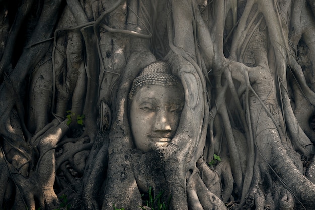 Het hoofd van het oude Boeddhabeeld in Thailand