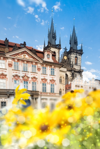 Het hoofdplein van praag in de zomer