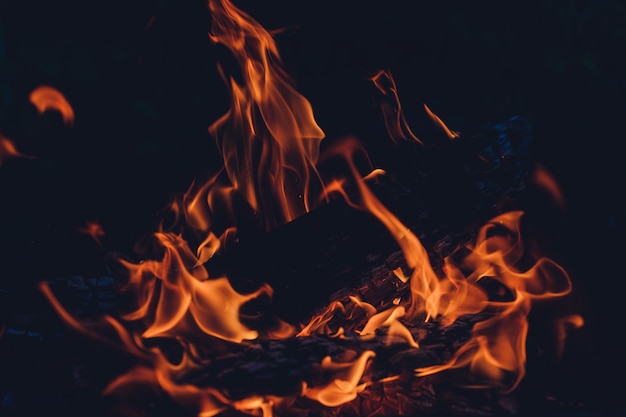 Het hout brandt in het vuur van de oven.