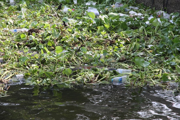 Het is afval dat in de rivier drijft.