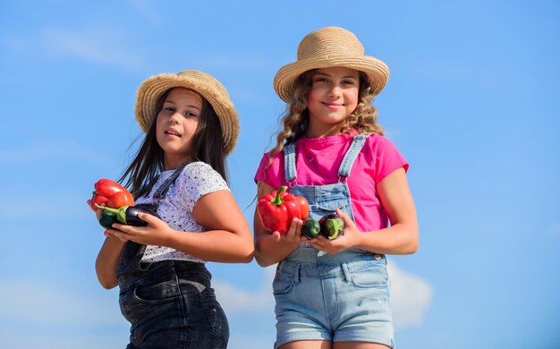 Het is mijn leven kinderen op de zomerboerderij Biologisch voedsel kinderen landbouw herfst oogst oogst vitamine lente markttuin gezond eten is gelukkig leven kleine meisjes groente Alleen natuurlijk