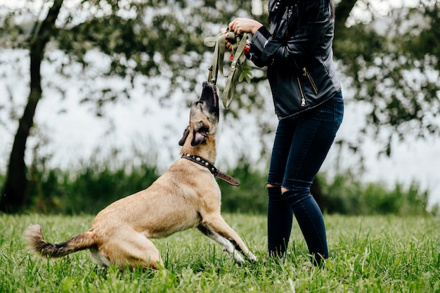 Het jonge donkerbruine meisje spelen met grappige hond bij aard