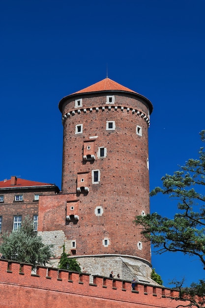 Het kasteel in Krakau Polen