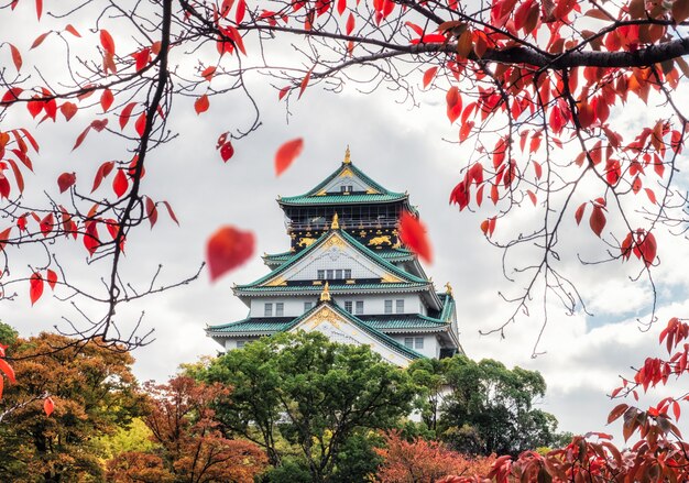 Het kasteel van architectuursaka met rode bladeren die in de herfstpark in Kyoto vallen