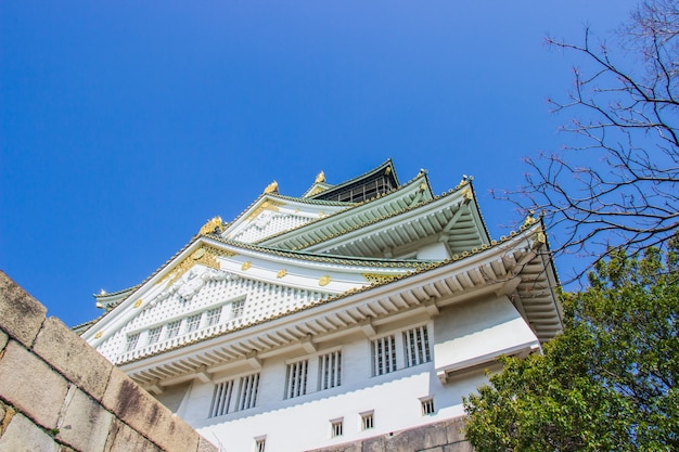 Foto het kasteel van osaka tijdens de tijd van de sakurabloesem gaat in osaka bloeien