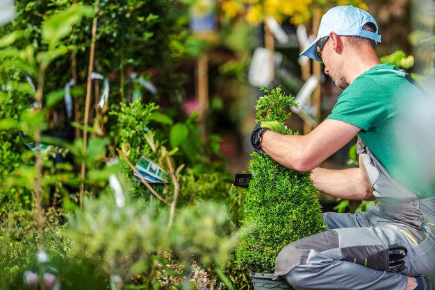 Foto het kiezen van tuinplanten professionele tuinier probeert de juiste planten te kiezen voor zijn tuinproject tuinwinkel winkelen