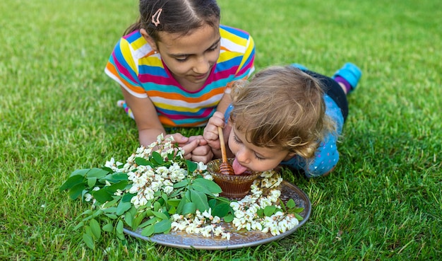 Het kind eet honing in de tuin Selectieve focus