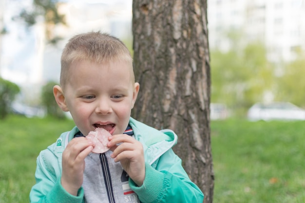 Het kind eet worst in het park