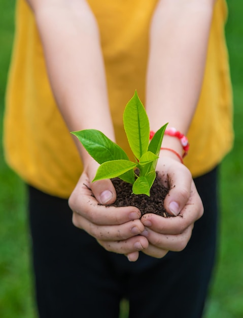 Het kind houdt de plant en de grond in zijn handen Selectieve focus