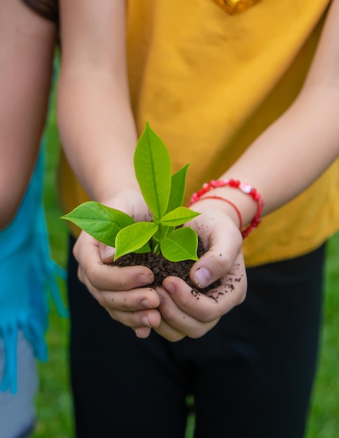 Het kind houdt de plant en de grond in zijn handen selectieve focus