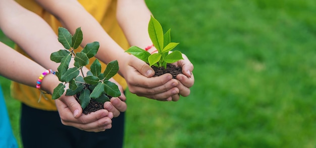 Het kind houdt de plant en de grond in zijn handen selectieve focus