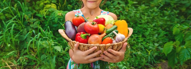 Het kind houdt groenten in zijn handen in de tuin Selectieve focus