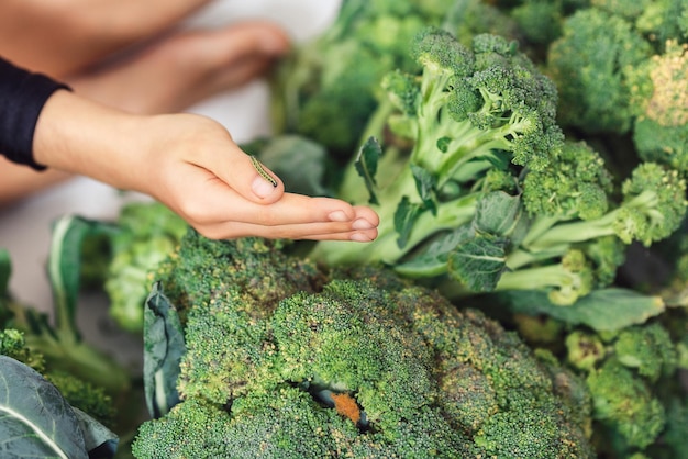 Het kind houdt op zijn hand een rups op een achtergrond van broccoli. gezond eetconcept. niet-GMO biologisch voedsel.